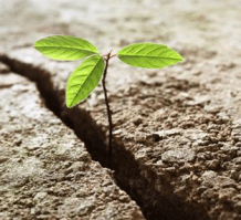 screen-shot-2016-11-12-at-4-46-08-pm