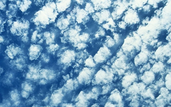 screen-shot-2017-01-29-at-5-47-34-am