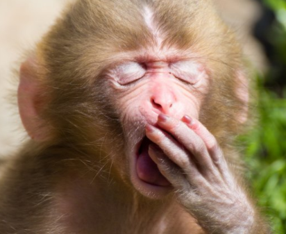 screen-shot-2017-01-29-at-5-52-03-am