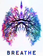 screen-shot-2017-02-02-at-8-20-58-pm