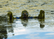 screen-shot-2017-02-27-at-2-38-11-pm