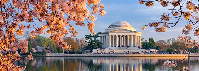 Screen Shot 2017-05-04 at 9.04.12 PM