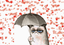 Screen Shot 2018-02-14 at 6.00.08 PM