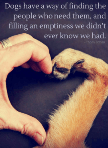 Screen Shot 2018-08-26 at 8.47.42 PM