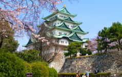 Screen Shot 2020-05-05 at 5.23.28 PM