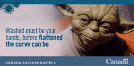 Screen Shot 2020-05-17 at 11.45.25 AM